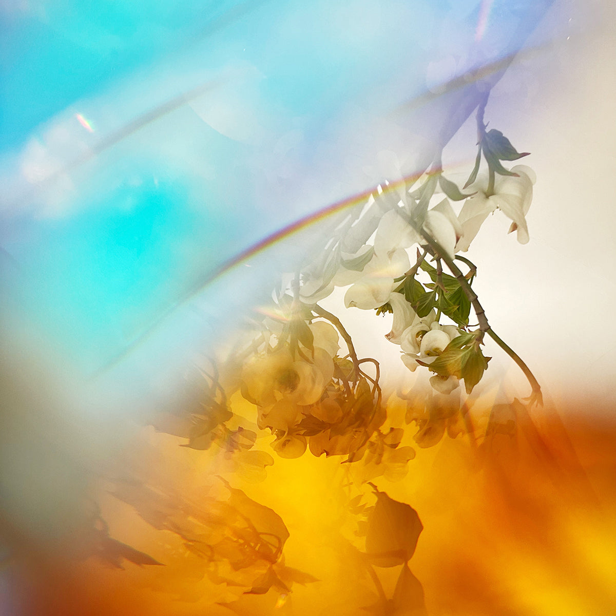 Crystal memories and reflections