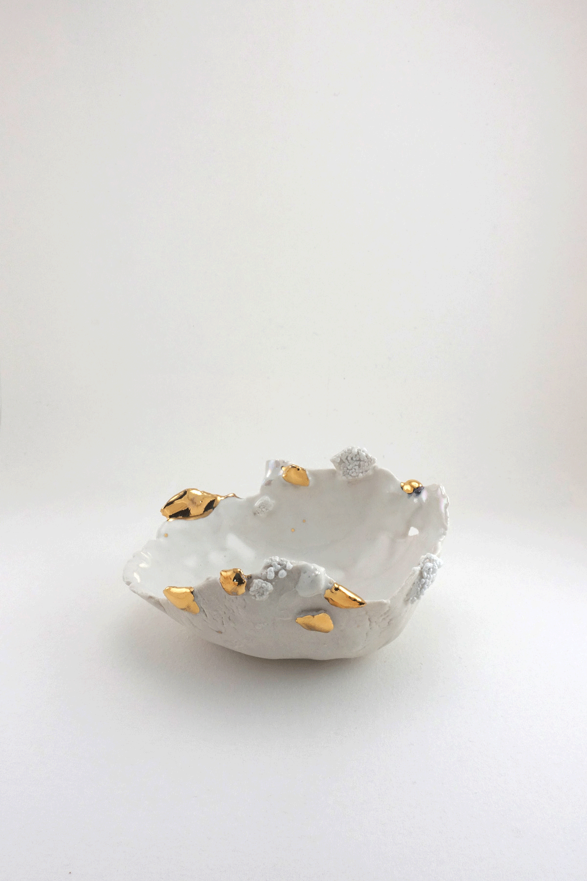 Mini Halo Dish by Minh Singer gif