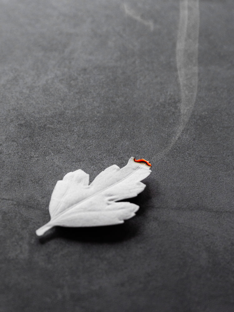 Morihata True Aqua Incense Burning at Abacus Row