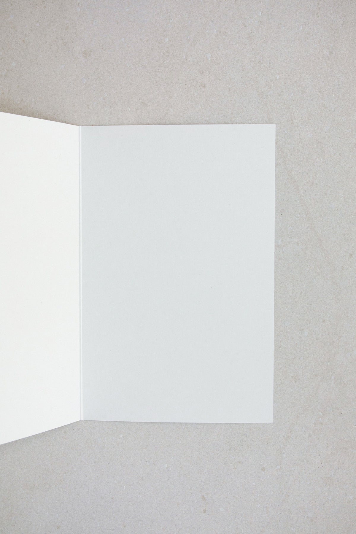 New Light Card Interior from NOAT