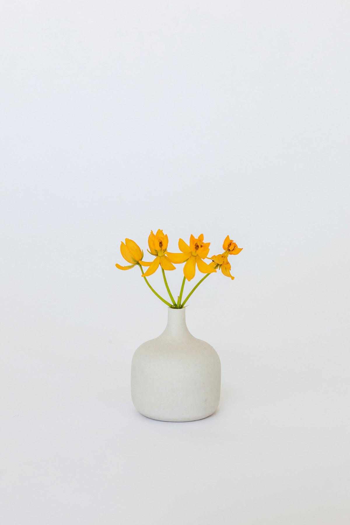 Mini Bud Vase by Vy Voi at Abacus Row