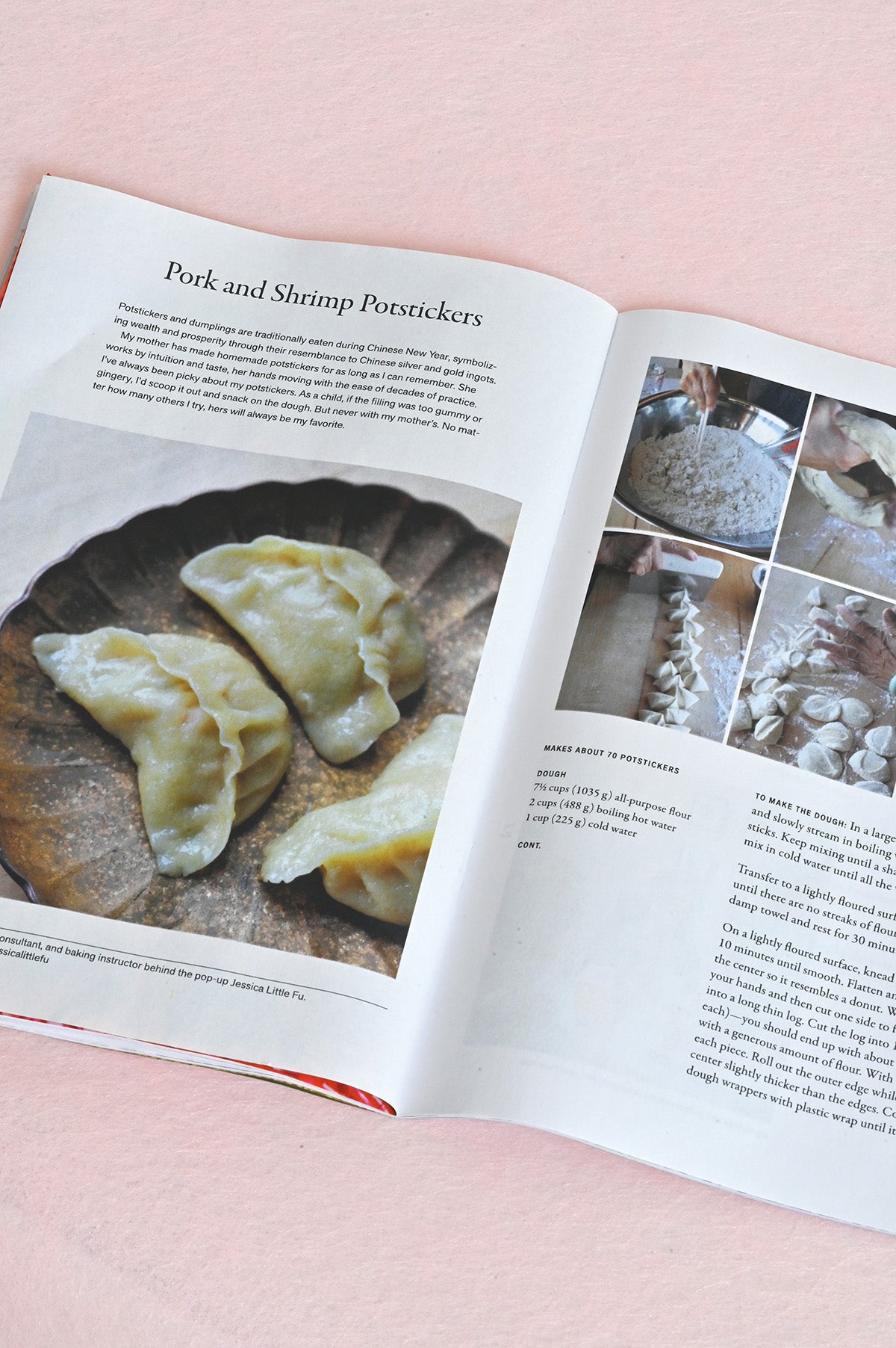Potstickers in the Ăn Tết Zine for Lunar New Year 2026 at Abacus Row Handmade Jewelry