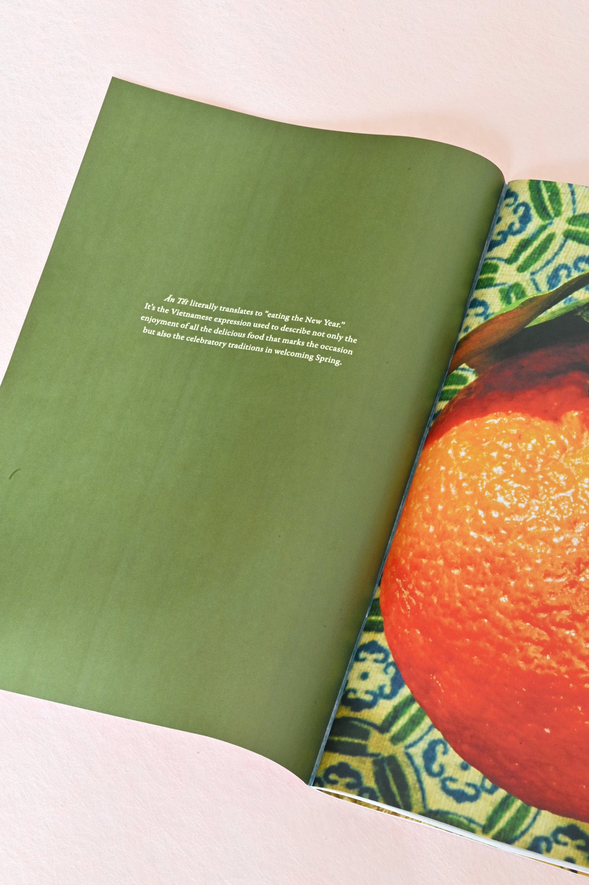 Open Ăn Tết Zine for Lunar New Year 2026 at Abacus Row Handmade Jewelry