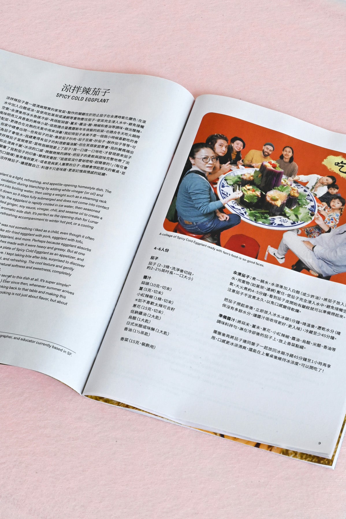 Spicy Cold Eggplant in the Ăn Tết Zine for Lunar New Year 2026 at Abacus Row Handmade Jewelry