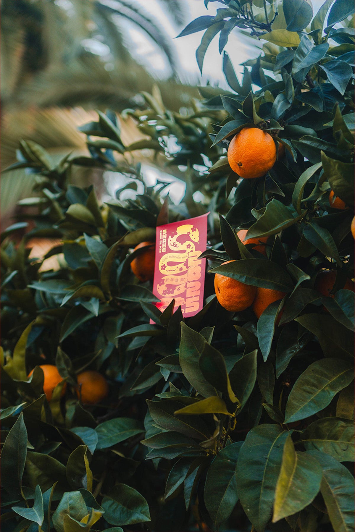 Lunar New Year Envelopes in tree by Caoculator at Abacus Row Handmade Jewelry