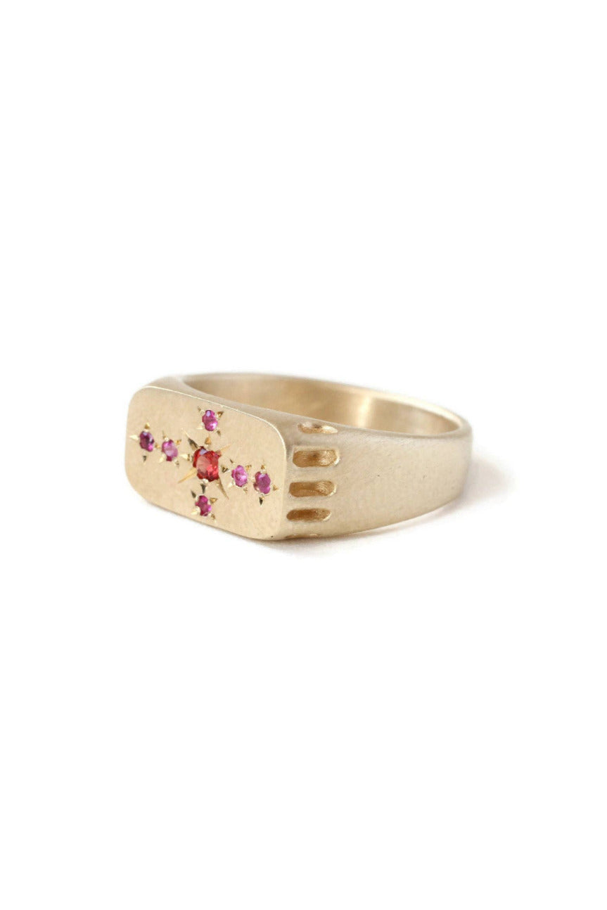 Side View of the Red and Pink Eternal Light Signet Ring by LINN at Abacus Row Handmade Jewelry