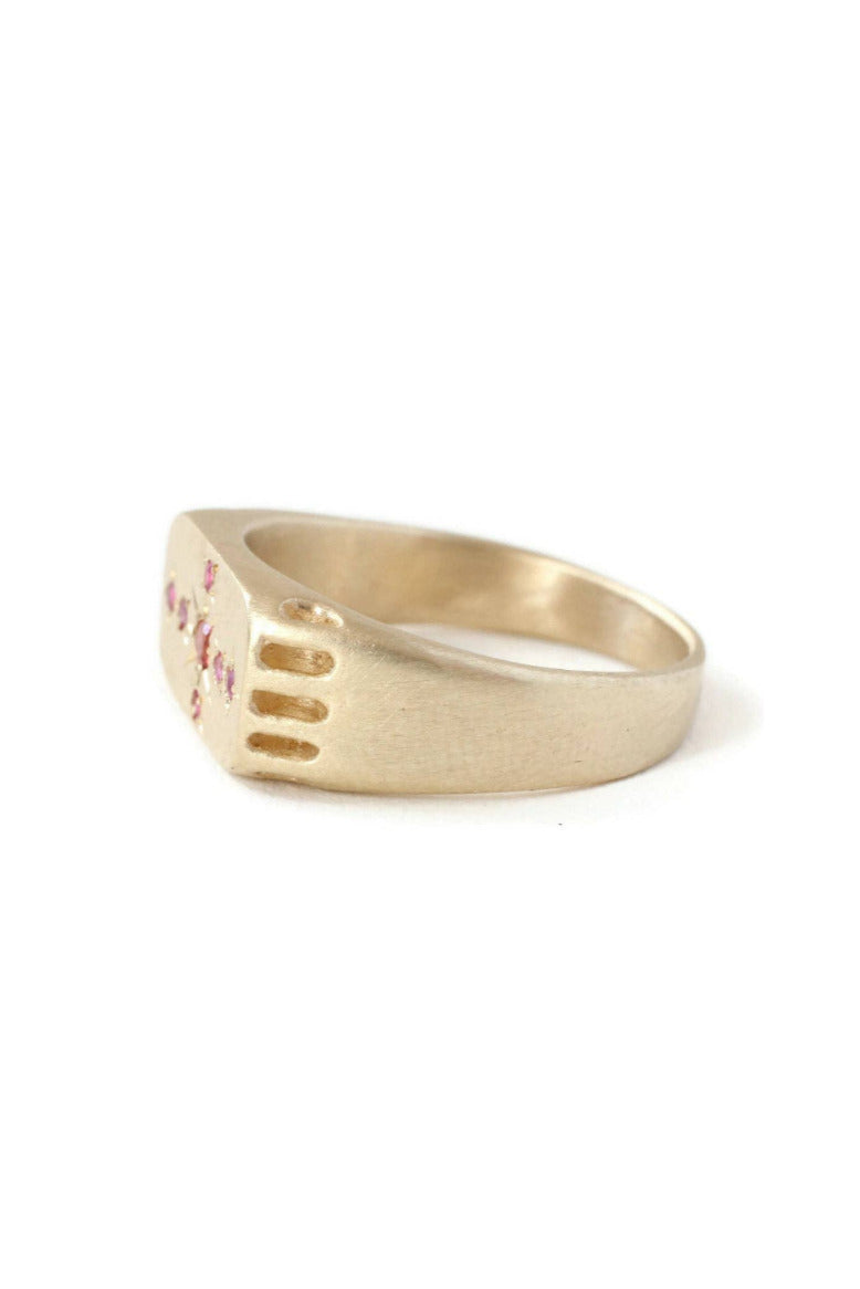 Side Detail of the Red and Pink Eternal Light Signet Ring by LINN at Abacus Row Handmade Jewelry