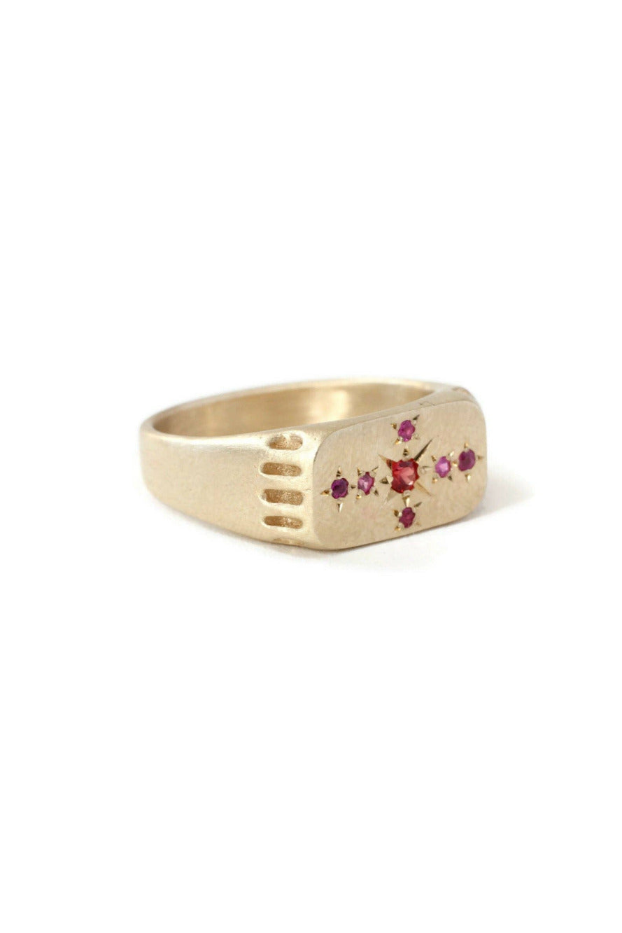 Angled View of the Red and Pink Eternal Light Signet Ring by LINN at Abacus Row Handmade Jewelry