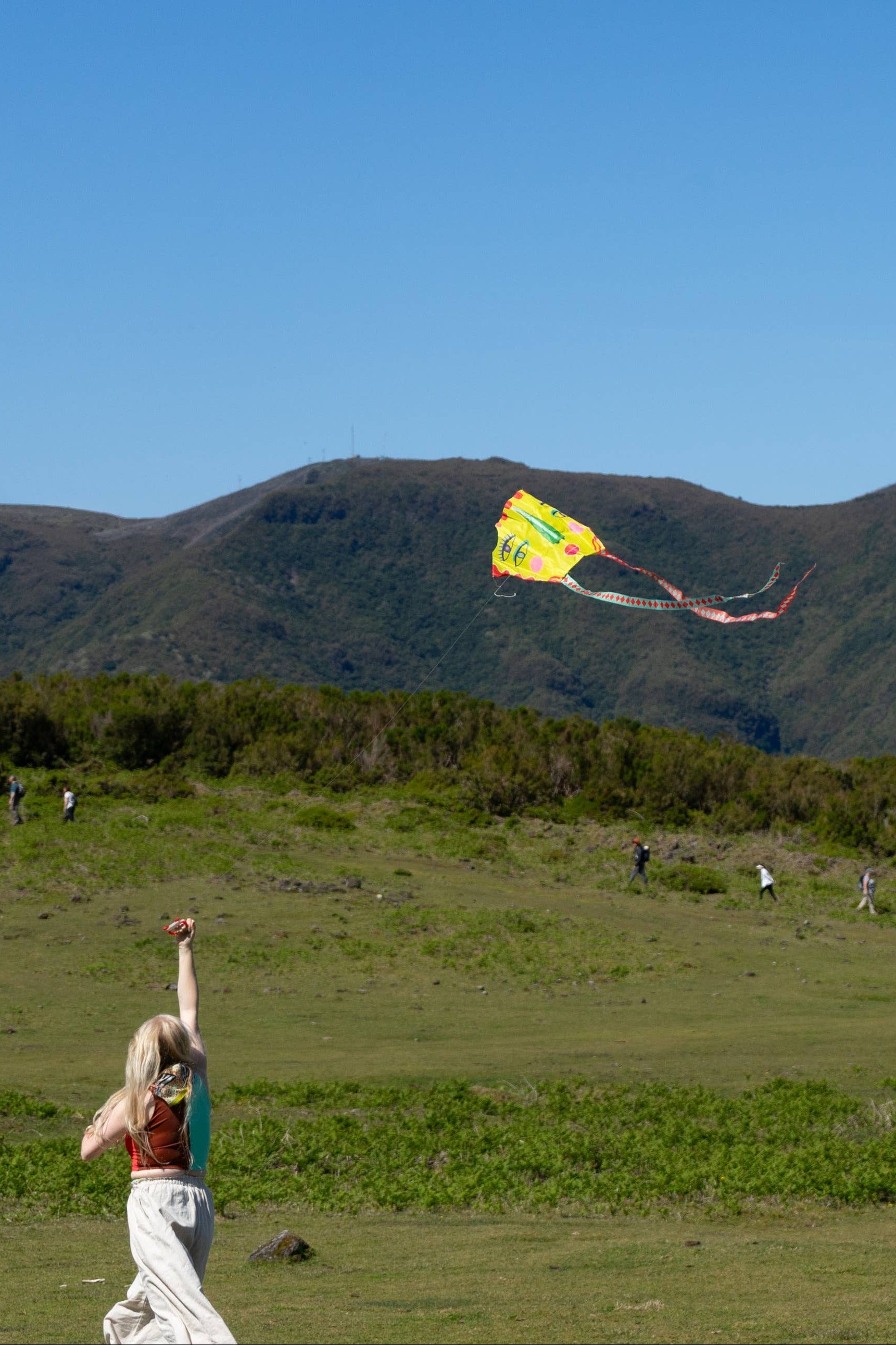 Flying Sky Seer Pocket Kite by State The Label at Abacus Row Jewelry