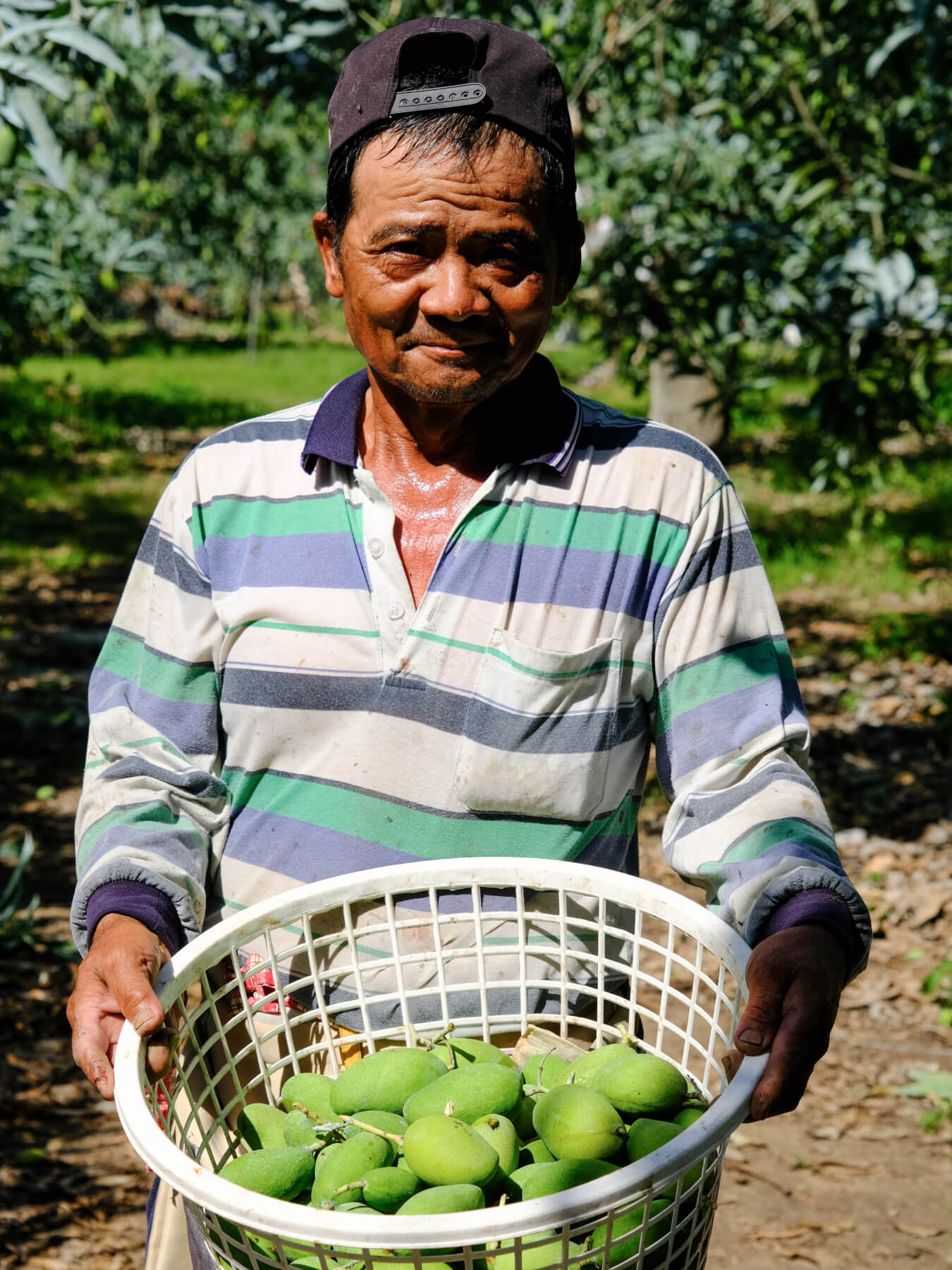Farmer of Dried Green Mango by Yunhai at Abacus Row