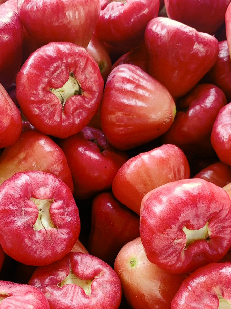 Wax Apples by Yunhai at Abacus Row