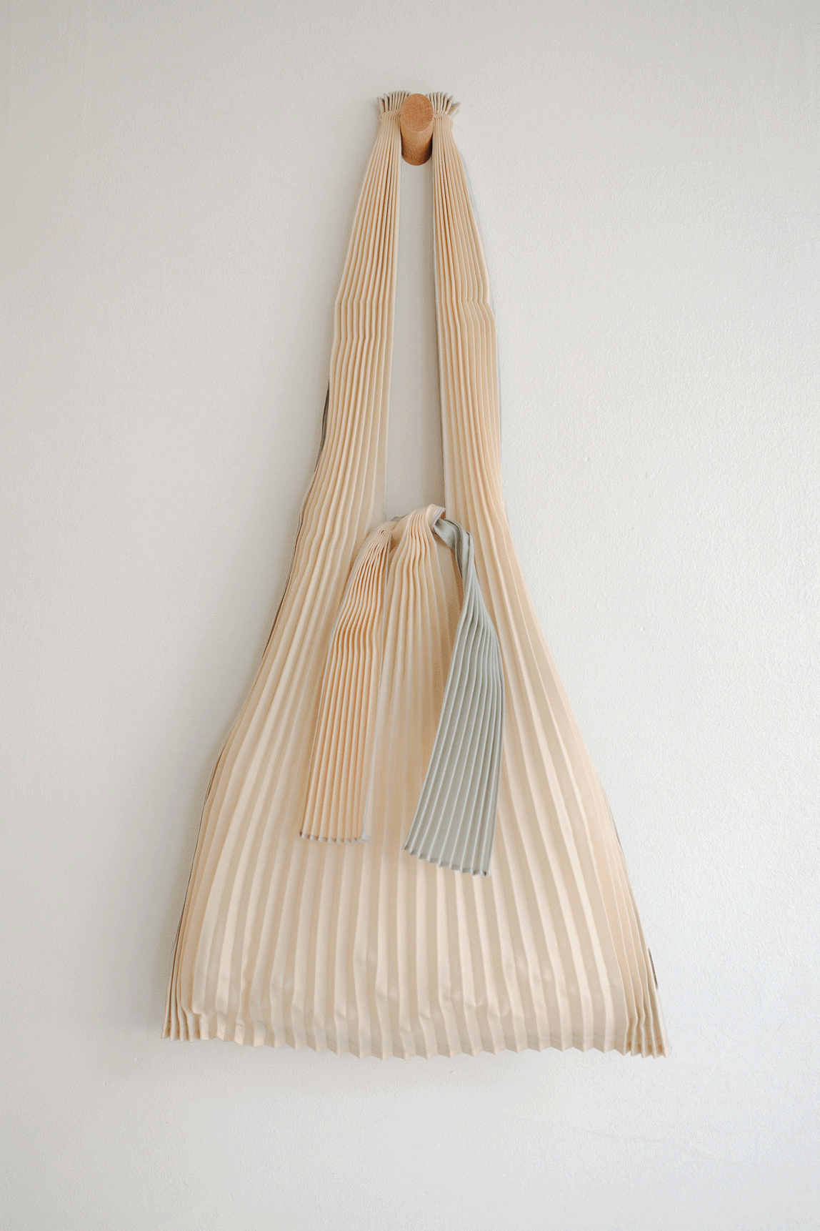 Large Pleated Pleco Tote Bags