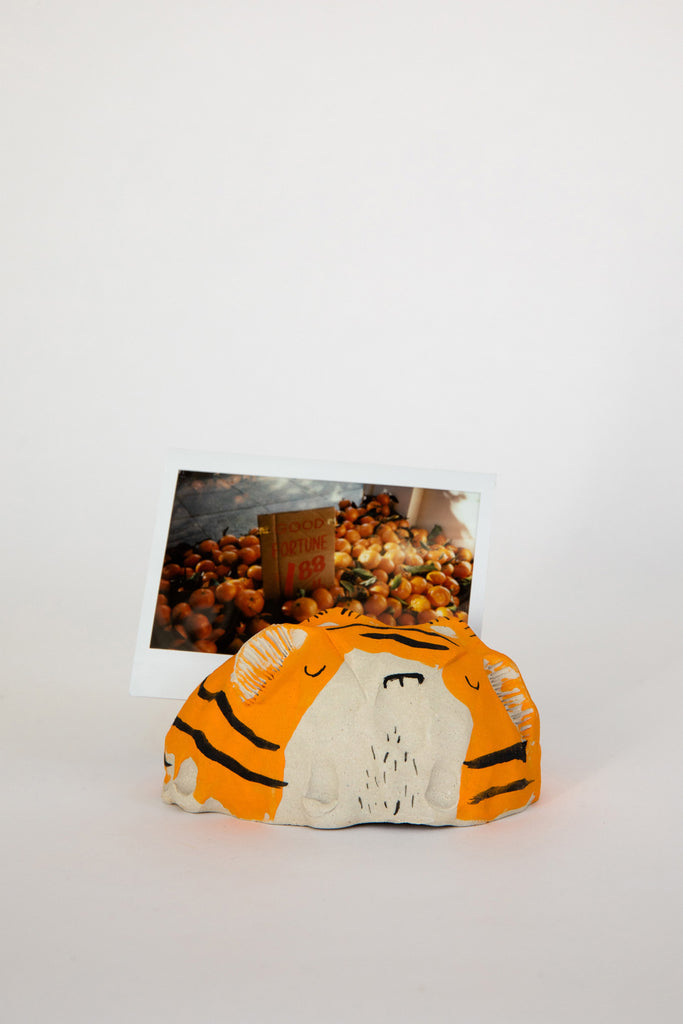 Tiger by Alyson Iwamoto with photo card at Abacus Row