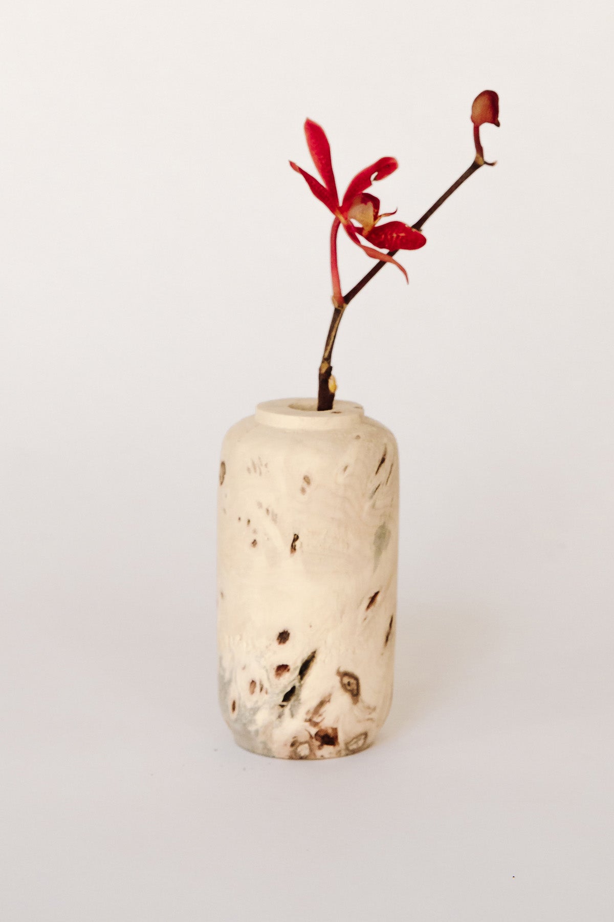 Buckeye Burl Vase by Melanie Abrantes at Abacus Row