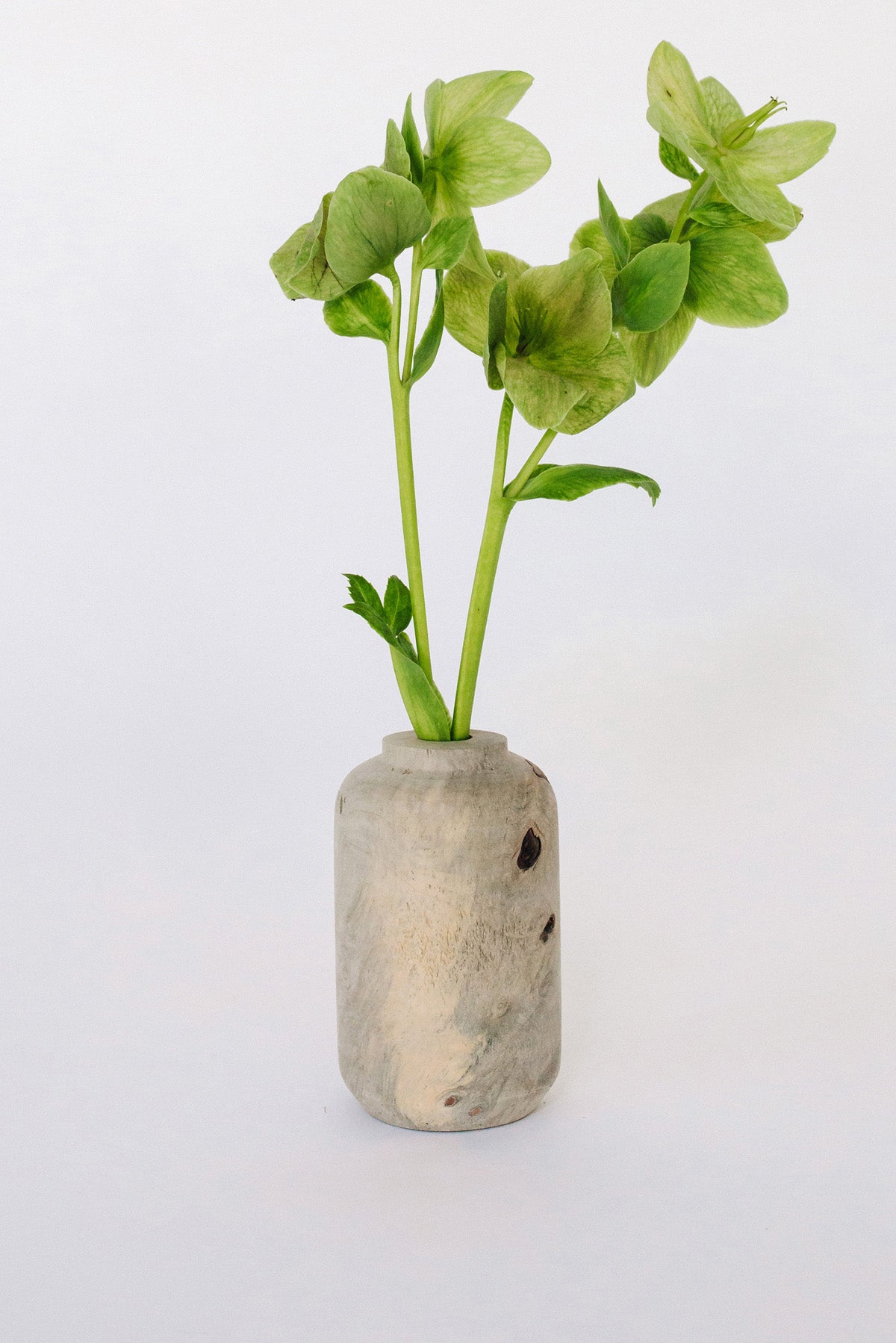 Buckeye Burl Vase by Melanie Abrantes at Abacus Row