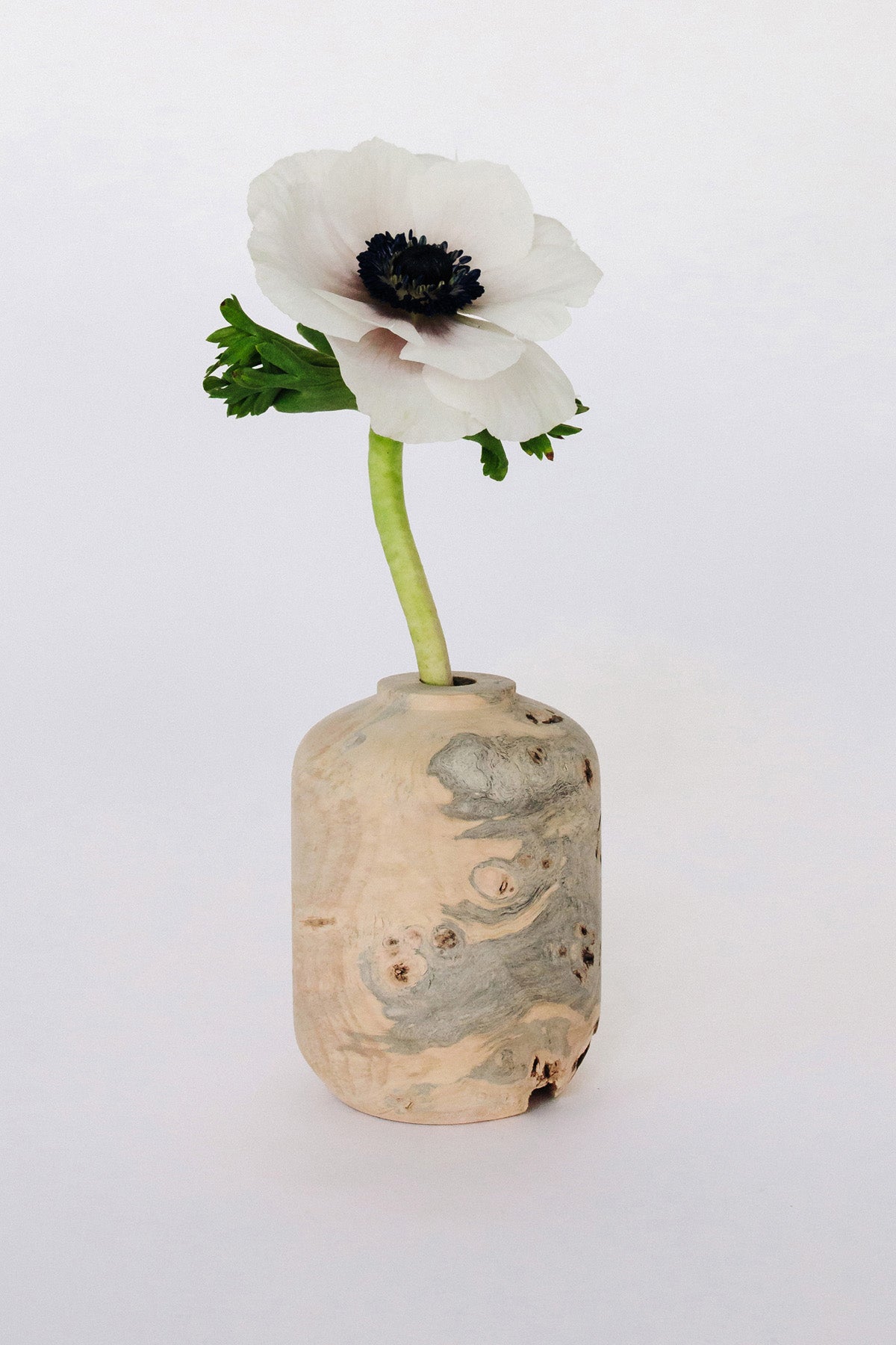 Buckeye Burl Vase by Melanie Abrantes at Abacus Row