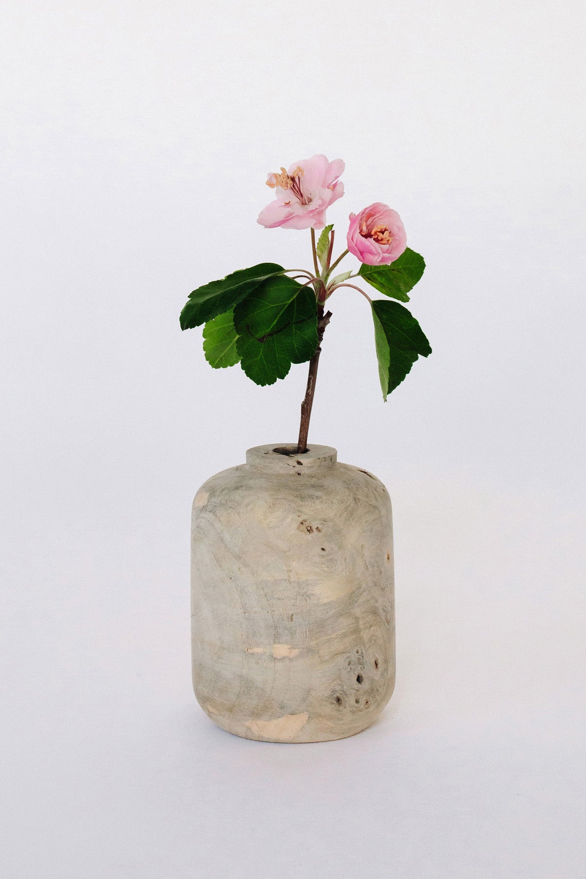 Buckeye Burl Vase by Melanie Abrantes at Abacus Row