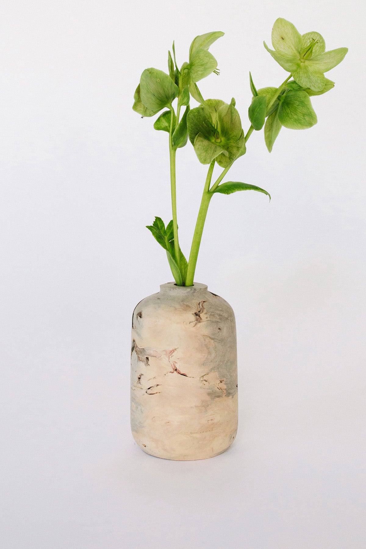 Buckeye Burl Vase by Melanie Abrantes at Abacus Row