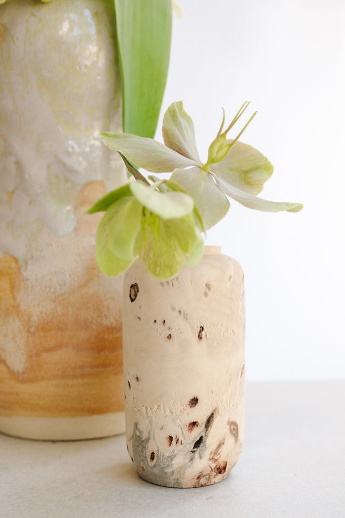 Buckeye Burl Vase by Melanie Abrantes at Abacus Row