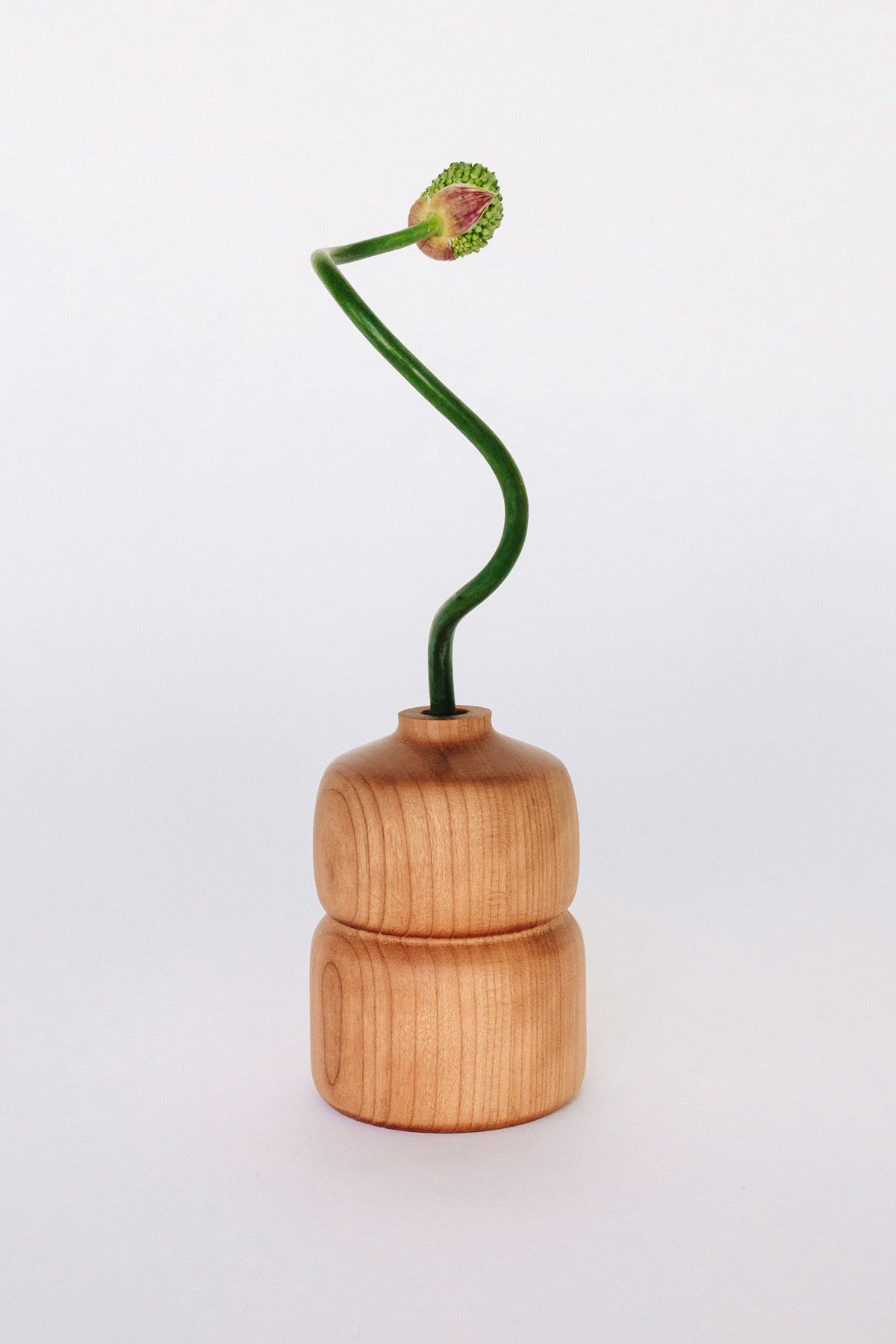 Cherry Double Bud Vase by Melanie Abrantes at Abacus Row