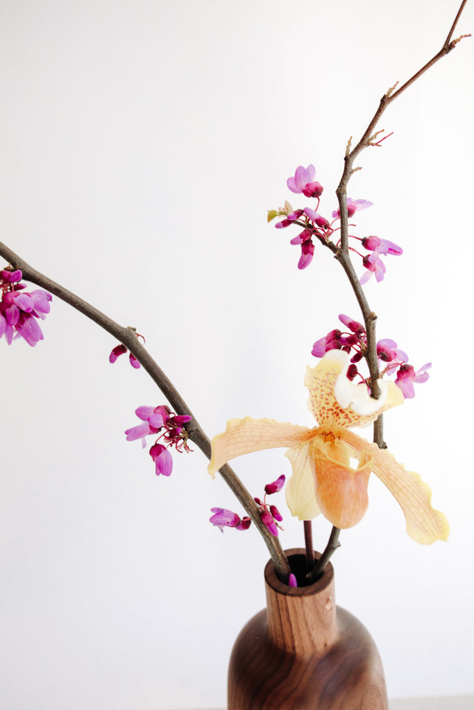 Indira Vase by Melanie Abrantes at Abacus Row