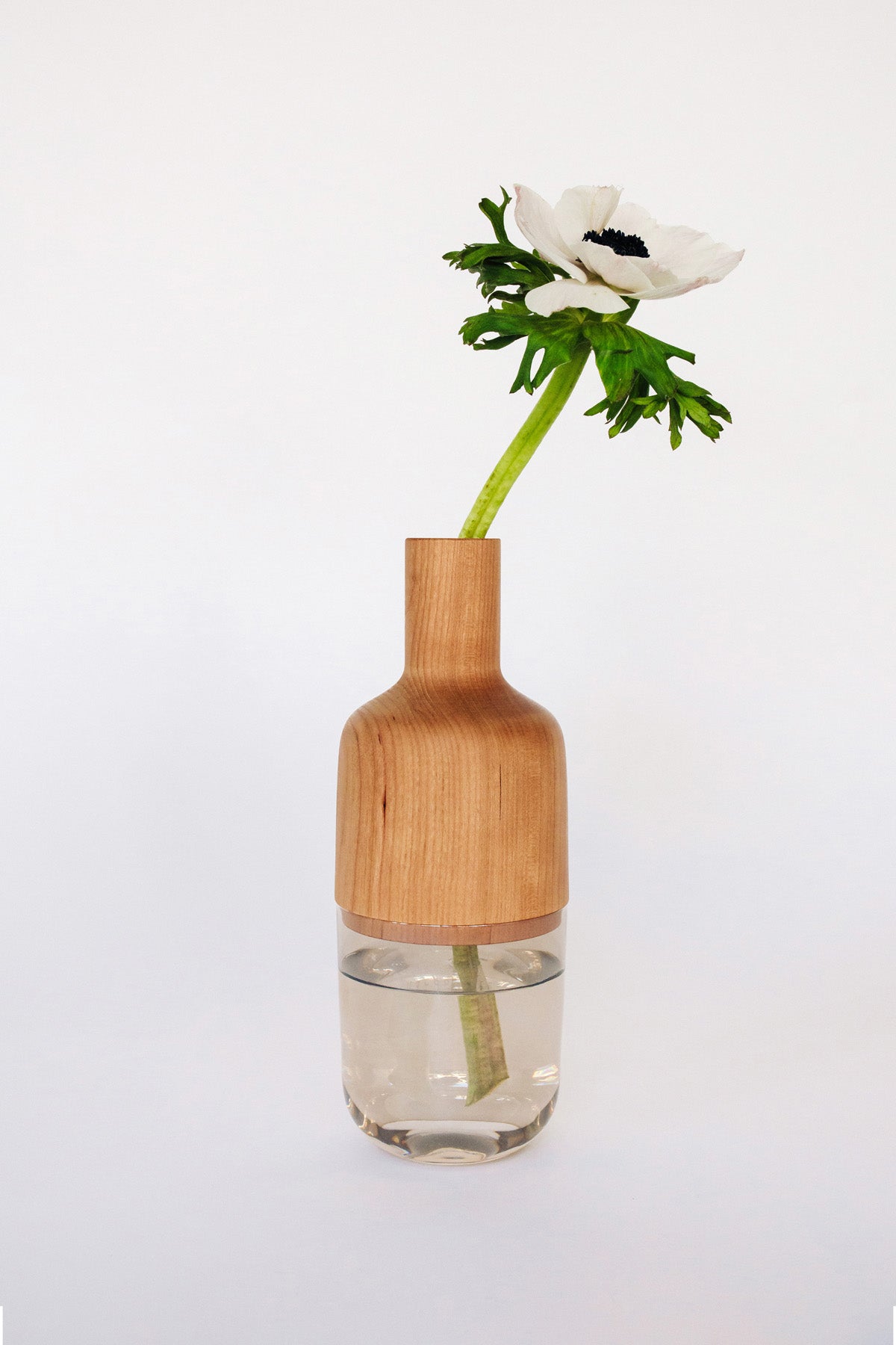 Maya Vase by Melanie Abrantes at Abacus Row