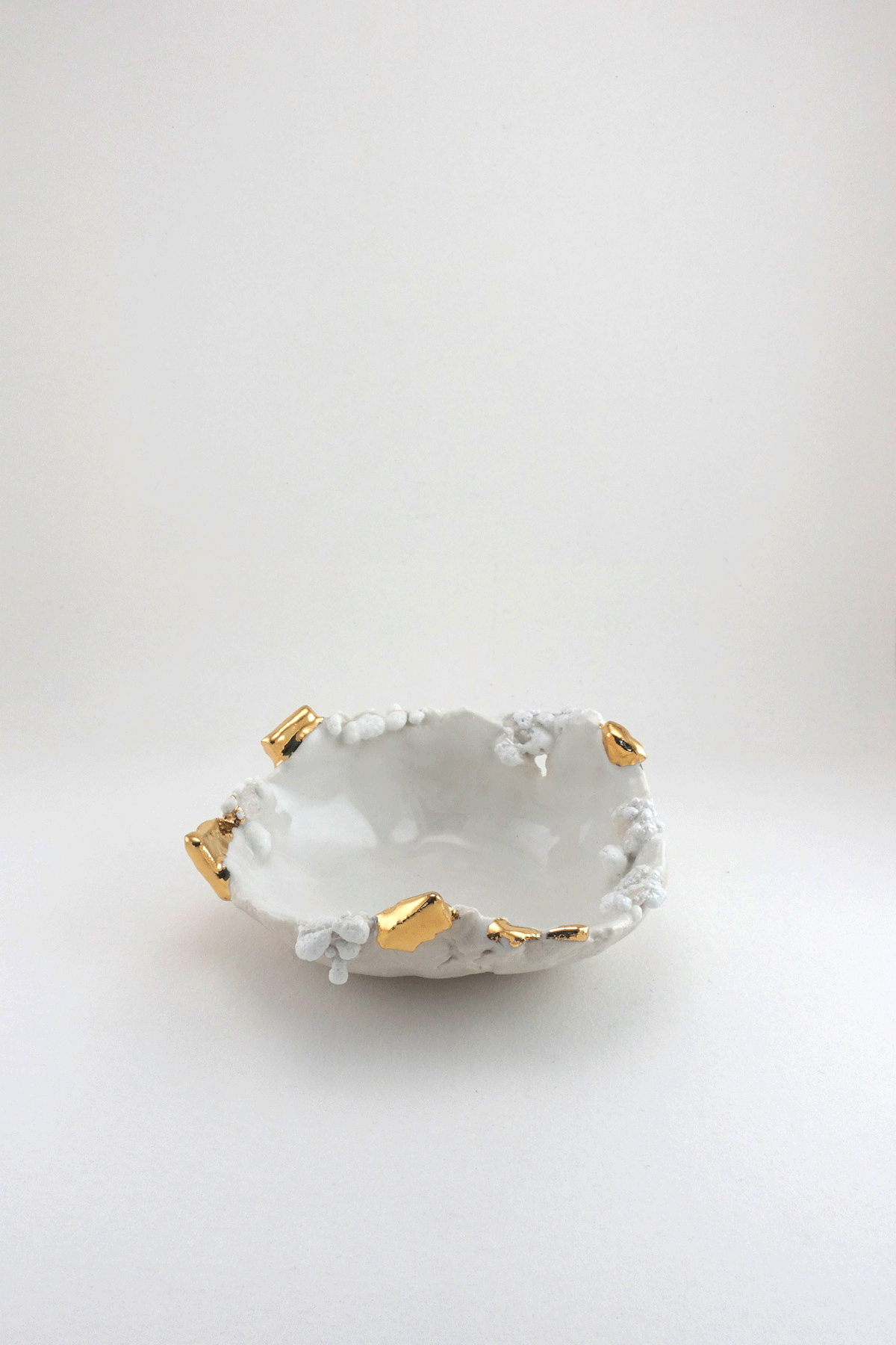 Mini Halo Dish by Minh Singer gif