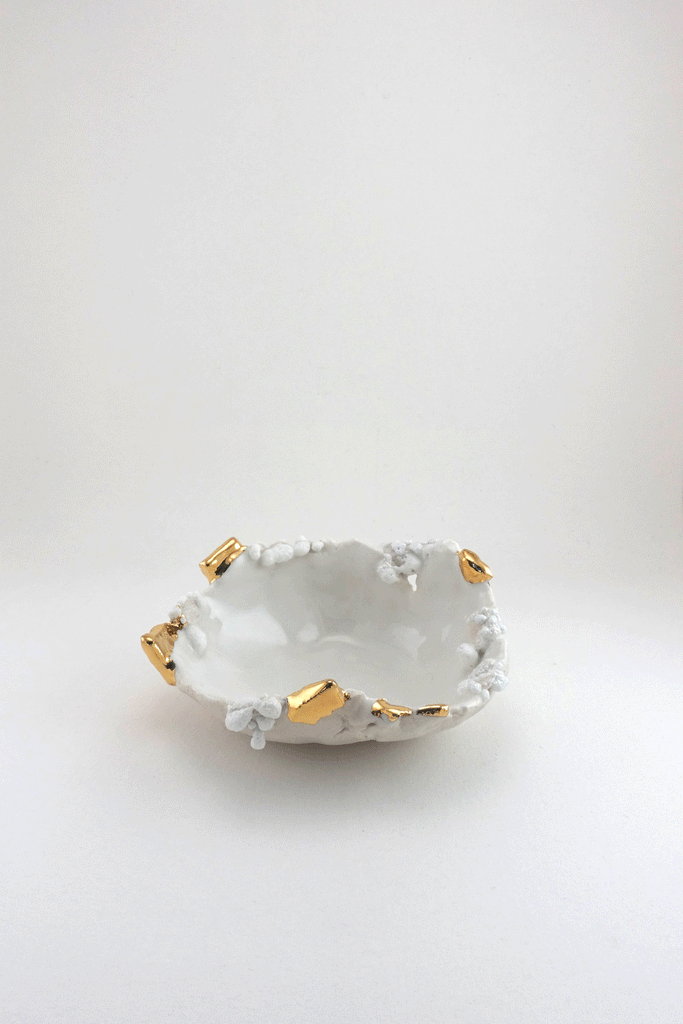 Mini Halo Dish by Minh Singer gif