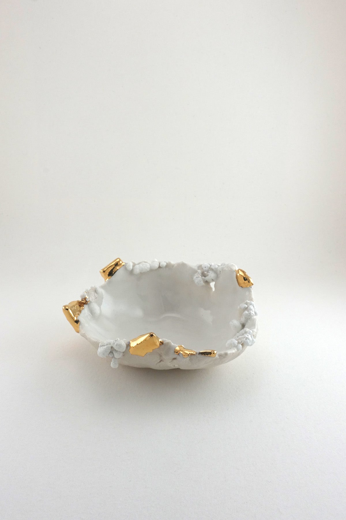 Mini Halo Dish by Minh Singer