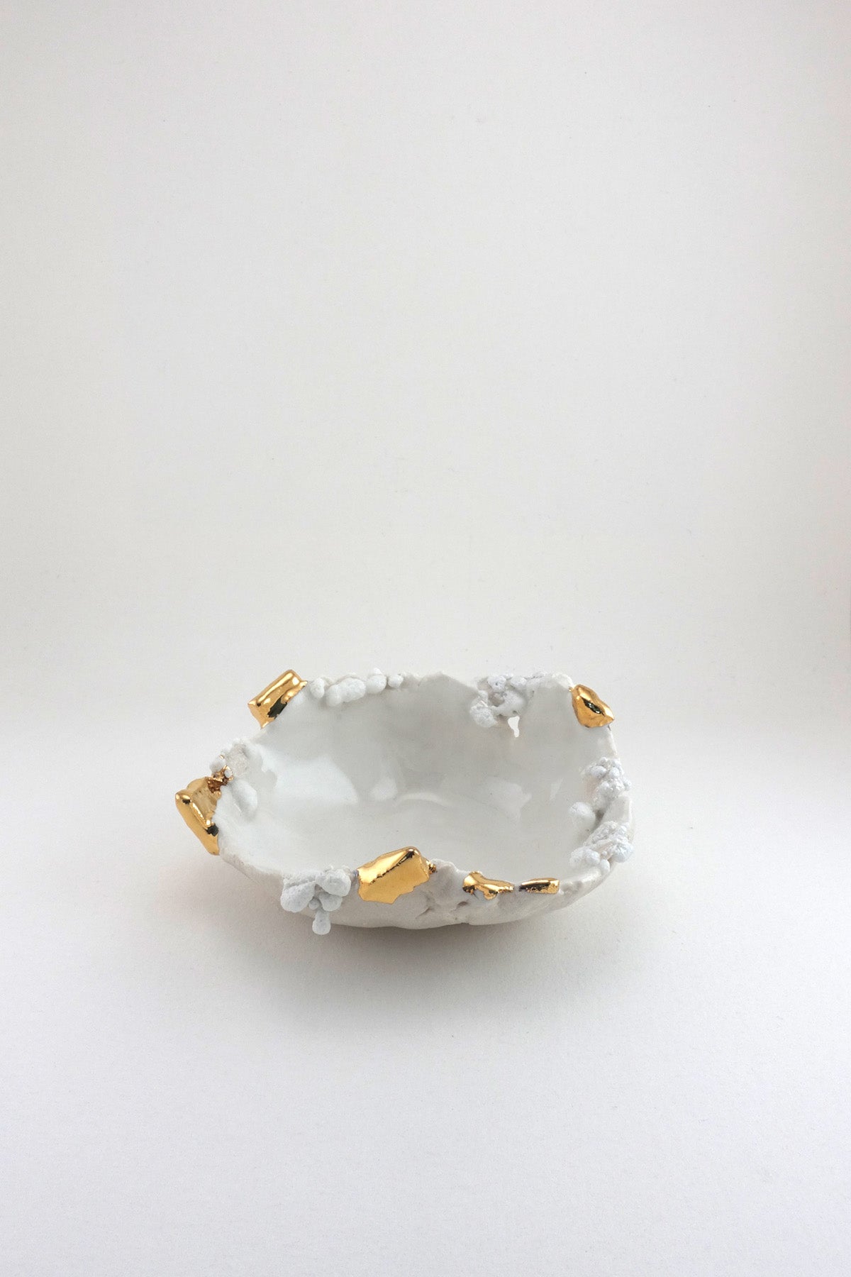 Halo Dish - Mini