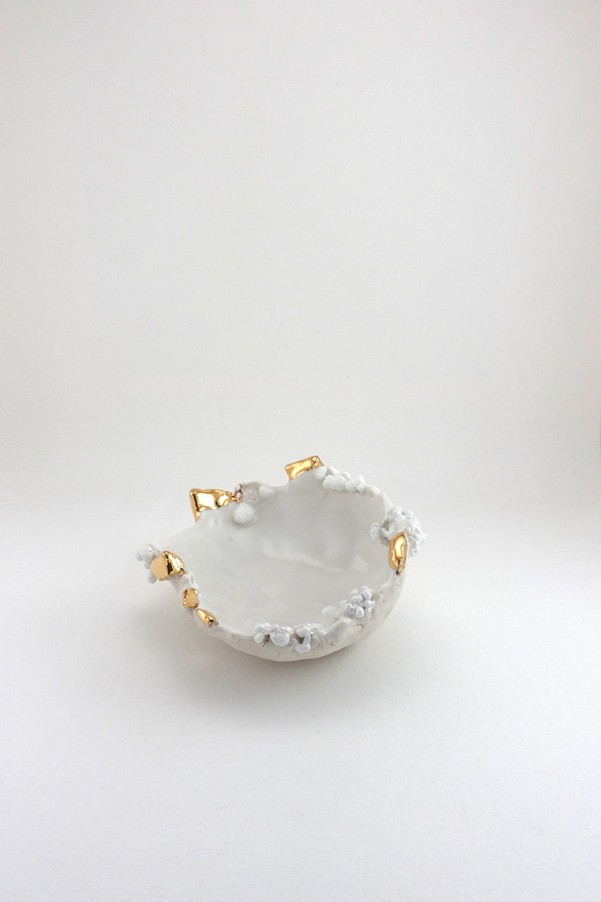 Mini Halo Dish by Minh Singer