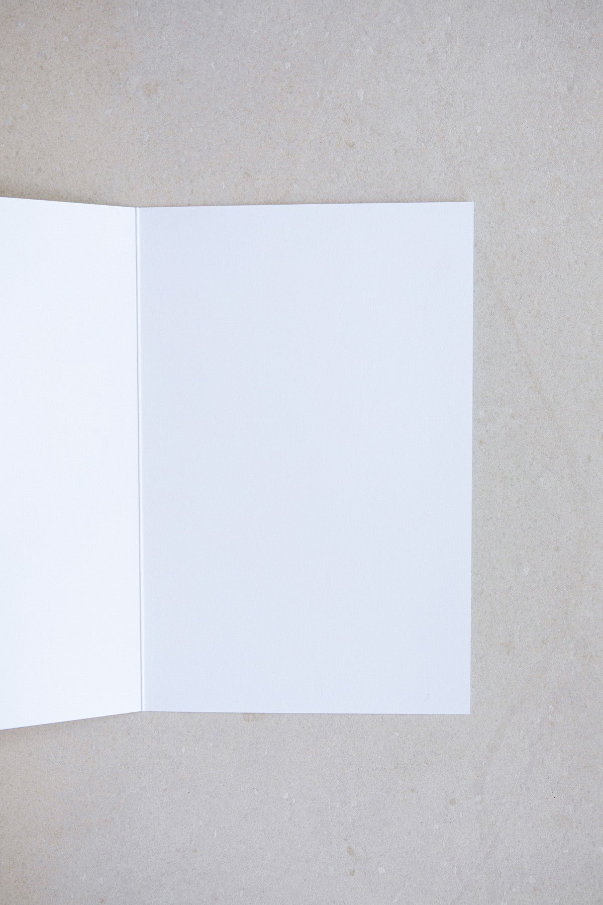 Big Love Card Inside from NOAT