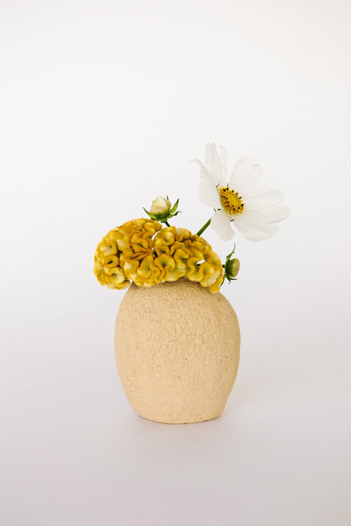 Medium Bare and Cream Buddie Vase by SKINNY at Abacus Row
