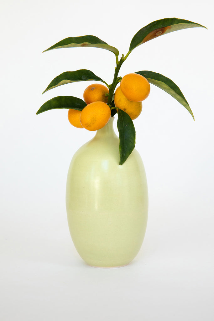 Avocado Bottle Bud Vase by Vy Voi with Kumquat Branch at Abacus Row