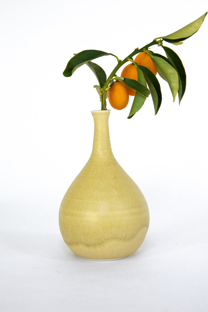 Kumquate Branch in Bud Vase by Vy Voi at Abacus Row