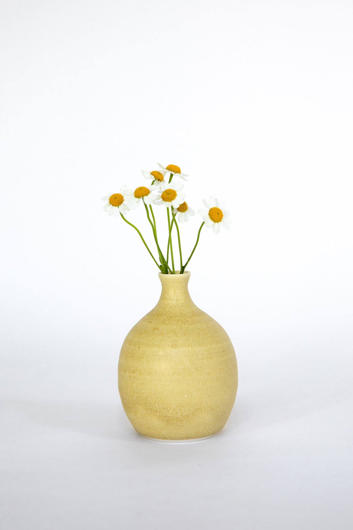 Bud Vase by Vy Voi with flowers at Abacus Row