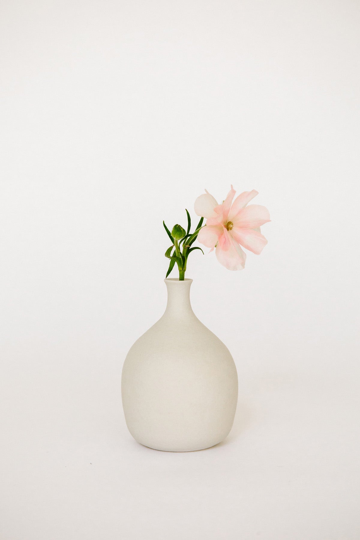 Bottle Bud Vase by Vy Voi at Abacus Row
