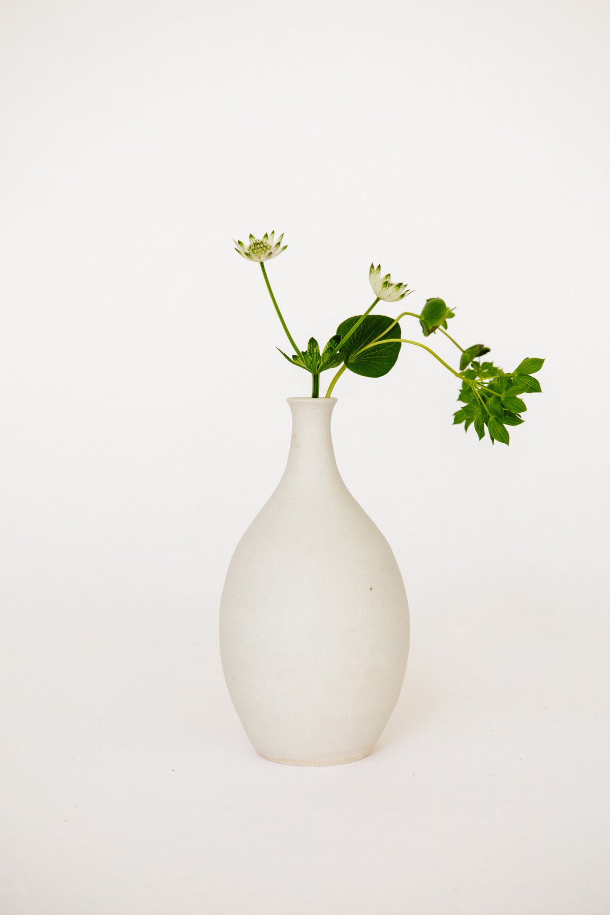 Bottle Bud Vase by Vy Voi at Abacus Row