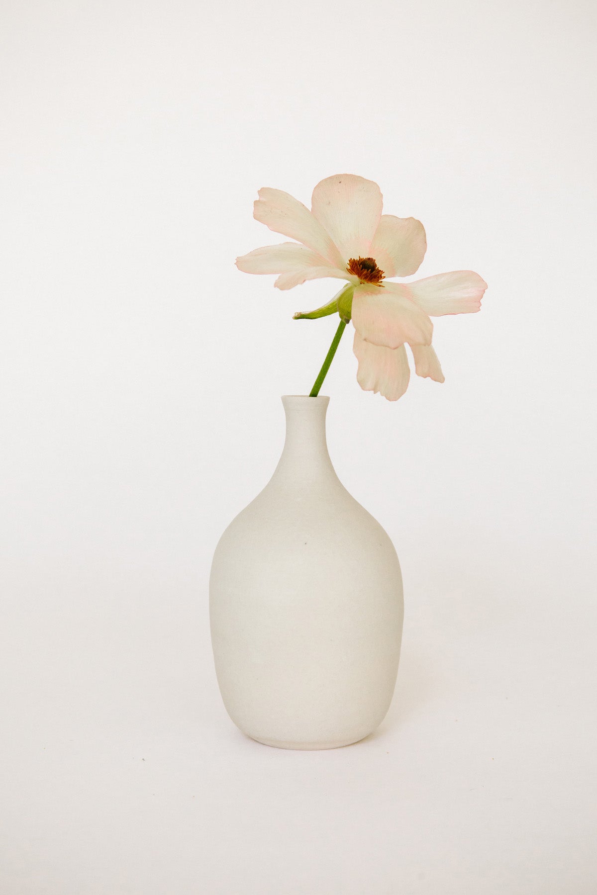 Bottle Bud Vase by Vy Voi at Abacus Row