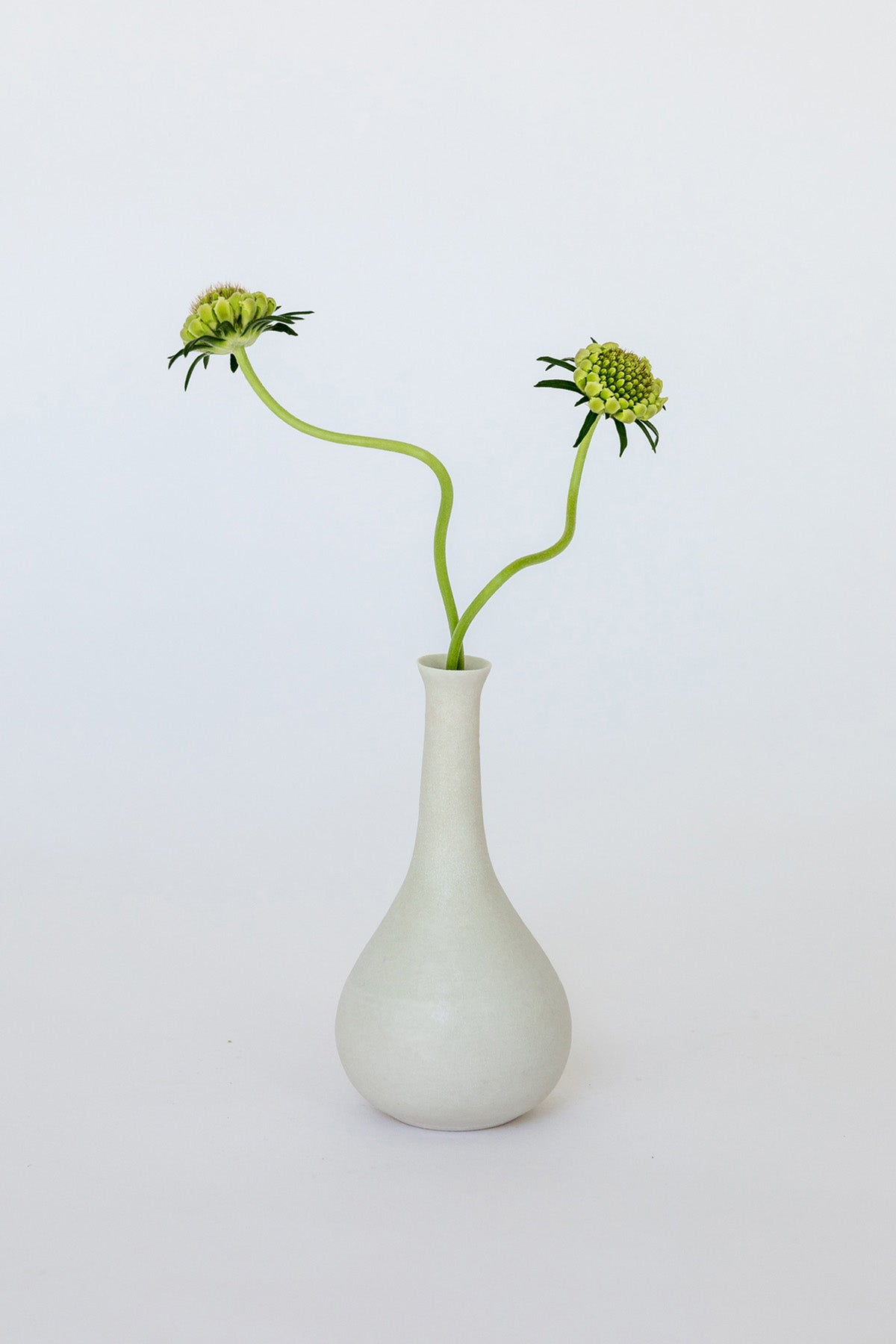 Bud Vase by Vy Voi at Abacus Row