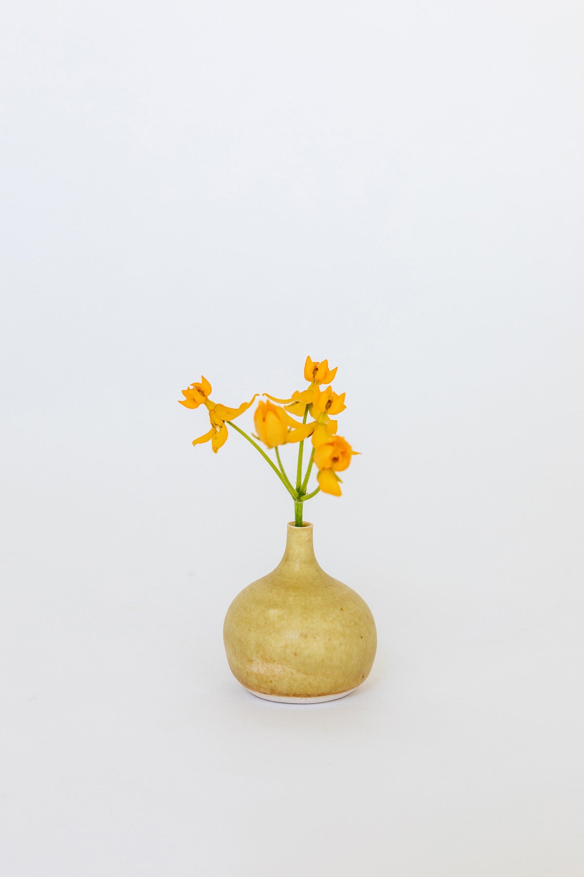 Mini Bottle Bud Vase by Vy Voi at Abacus Row